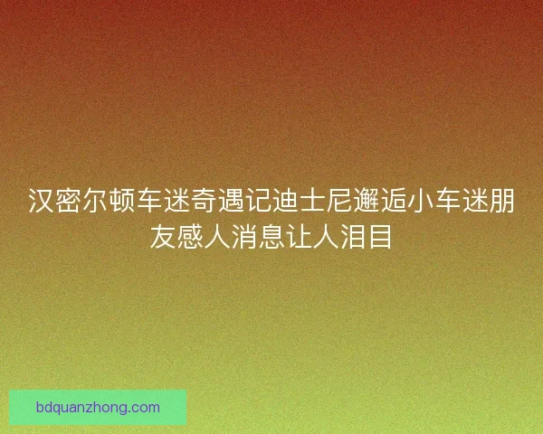 汉密尔顿车迷奇遇记迪士尼邂逅小车迷朋友感人消息让人泪目